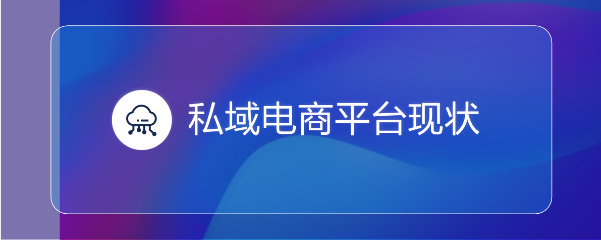 2022私域電商平臺趨勢報告(圖13)