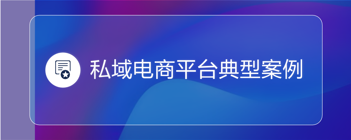 2022私域電商平臺趨勢報告(圖25)