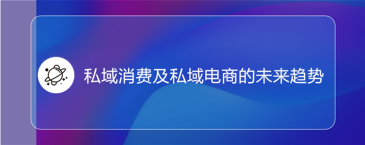 2022私域電商平臺趨勢報告(圖31)