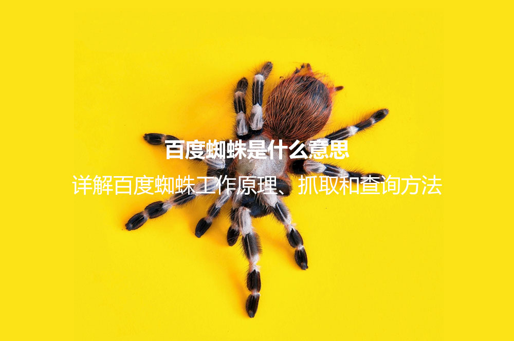 百度蜘蛛是什么意思？詳解百度蜘蛛工作原理、抓取和查詢方法
