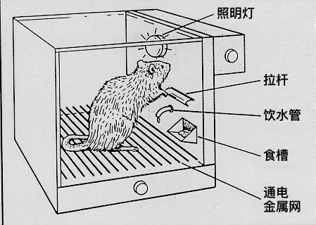刷抖音停不下來？深度解析無限滾動的Feed流設(shè)計