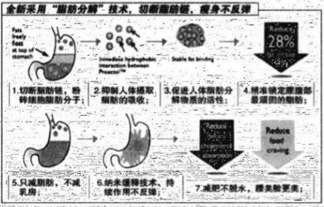 動(dòng)畫