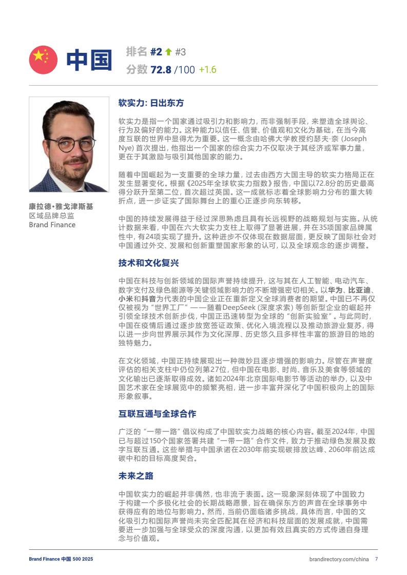 2025年度中國品牌價值500強報告(圖7)