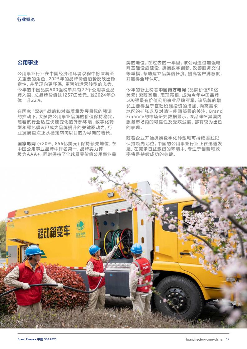 2025年度中國品牌價值500強報告(圖17)