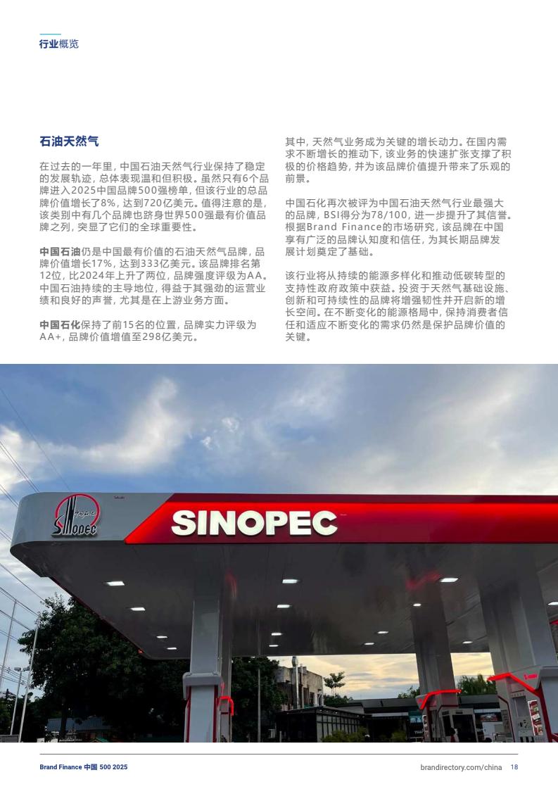 2025年度中國品牌價值500強報告(圖18)