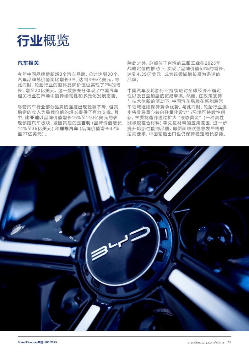 2025年度中國品牌價值500強報告(圖13)