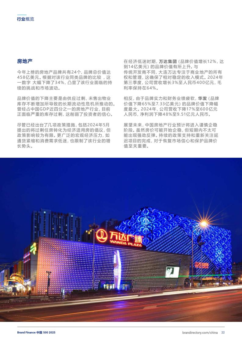 2025年度中國品牌價值500強報告(圖22)