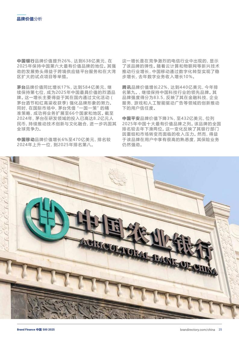 2025年度中國品牌價值500強報告(圖25)