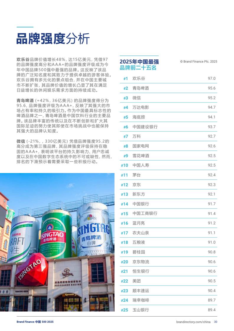 2025年度中國品牌價值500強報告(圖30)