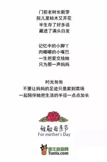 怎么寫文案,文案的寫作思路 怎么寫文案,文案的寫作思路